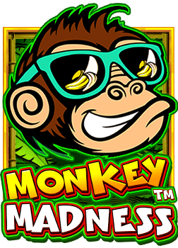 หา เว็บ บอลสมัคร สมาชิก bacc6666 เพื่อเล่นสล็อตสุดมัน